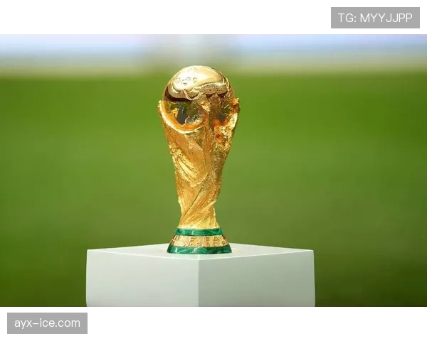 2026世界杯开幕战赛后关键数据盘点